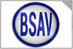 BSAV Maintenance Onduleurs